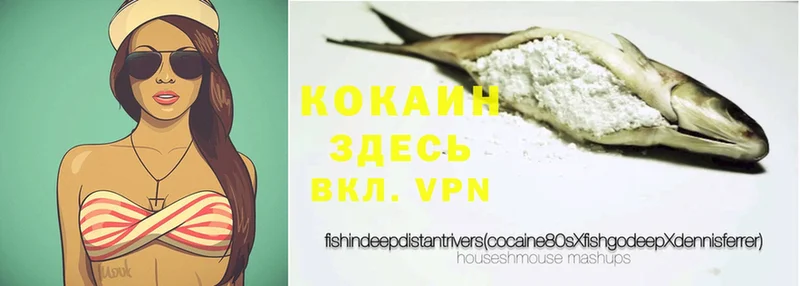 Cocaine FishScale  ссылка на мегу как зайти  Каменск-Уральский  где можно купить наркотик 